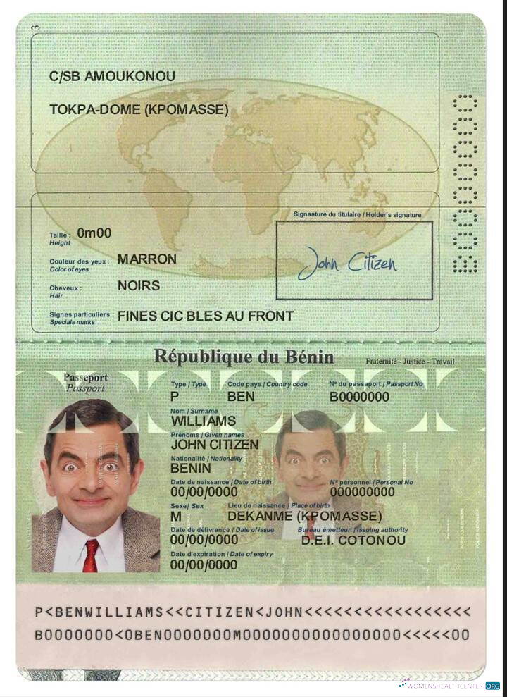 Angola LNG proof of address utility bill template in Word and PDF format